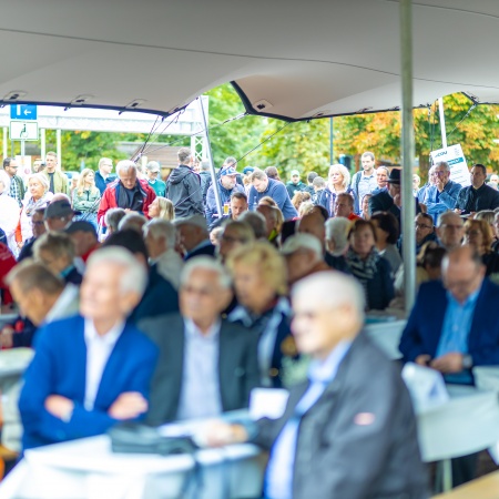Größeres Bild ansehen